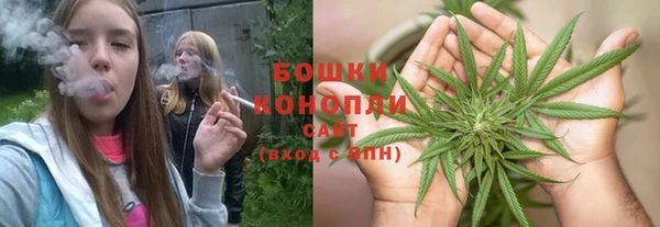 PSILOCYBIN Баксан
