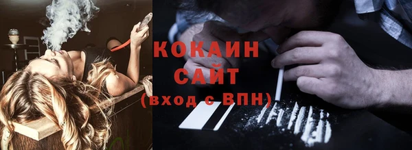 не бодяженный Кропоткин