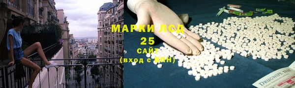 PSILOCYBIN Баксан